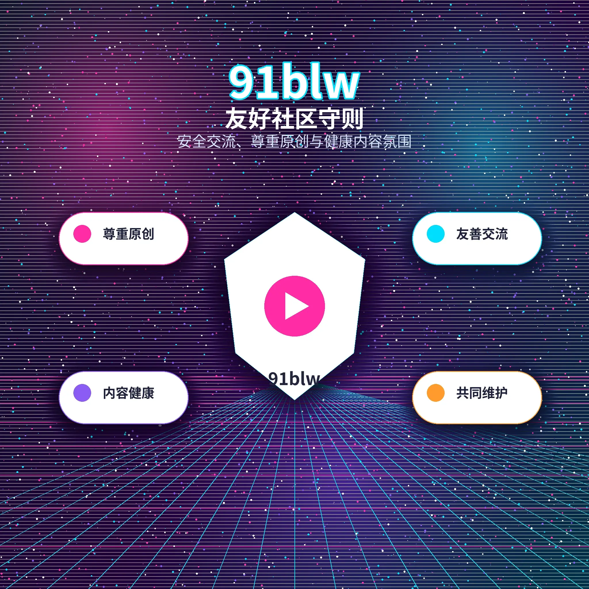 91网账户指南展示